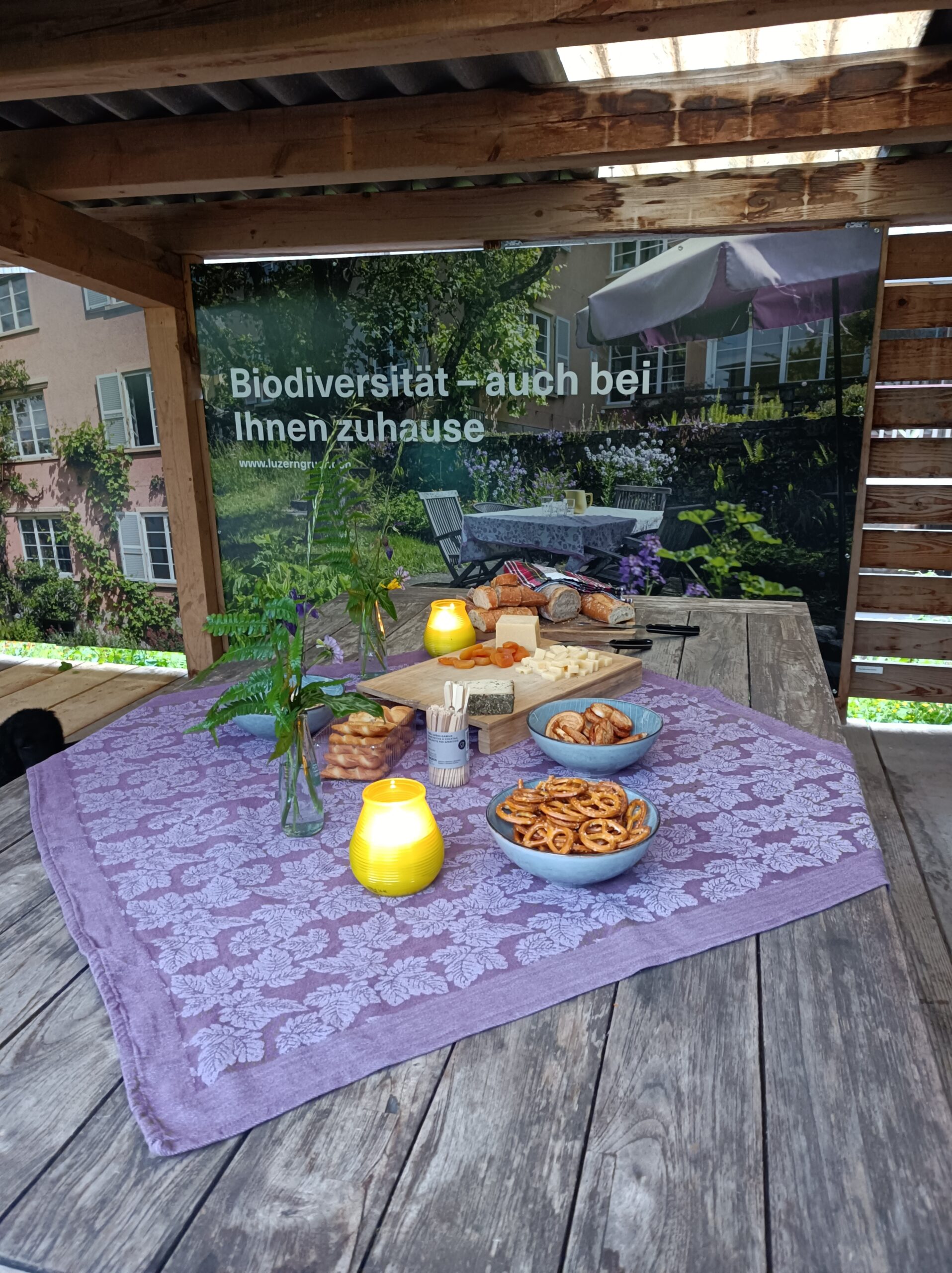 QV Luegisland, Quartierverein, Luzern, Stadt Luzern, Luzern