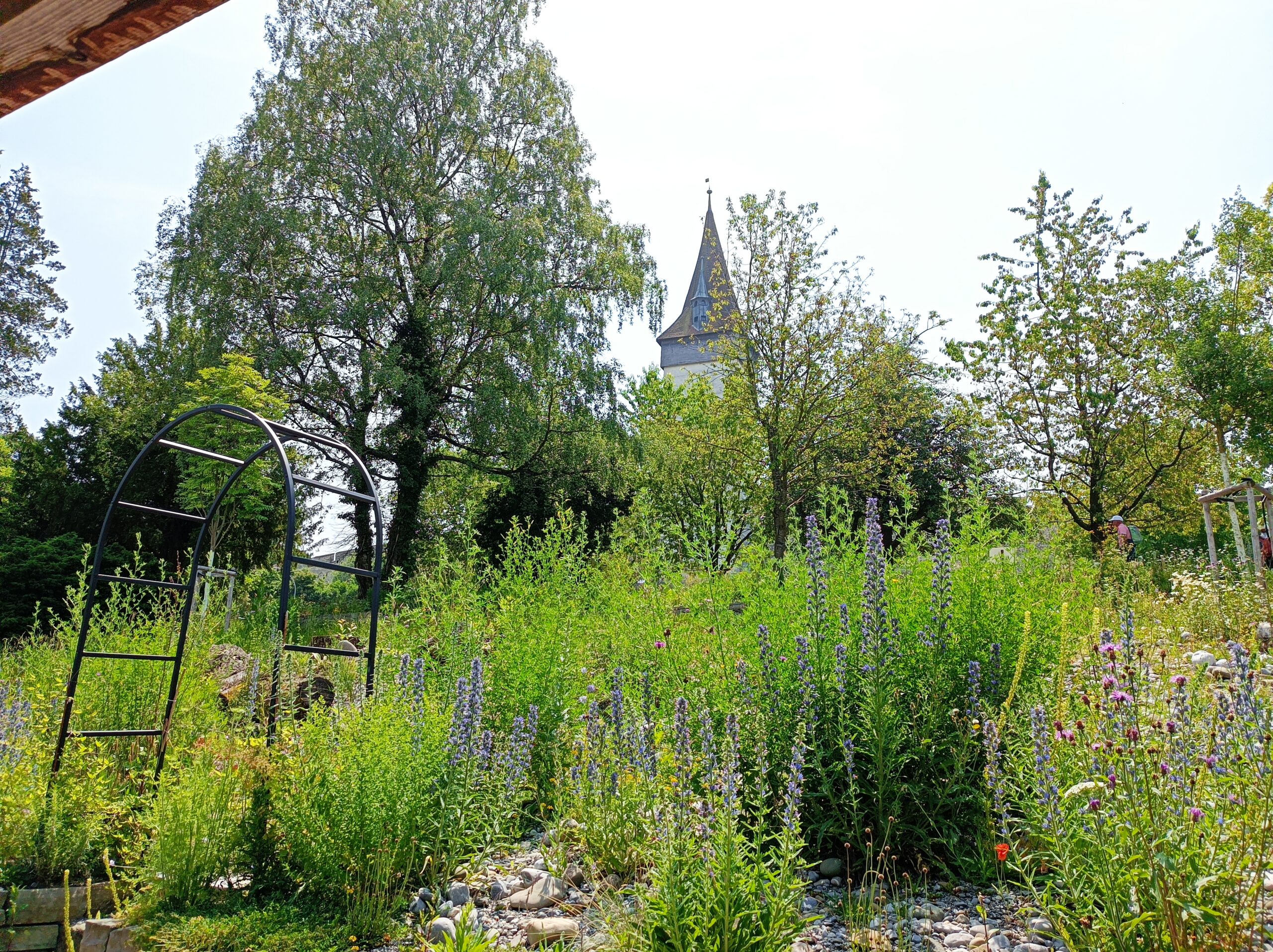 Salon Villa Musegg