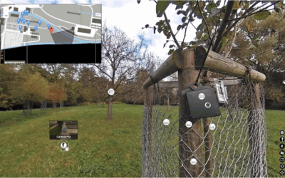 AGORA-Projekt im Luegisland Quartier